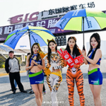 2024爱拍贺岁杯
